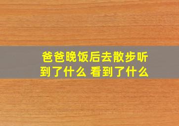 爸爸晚饭后去散步听到了什么 看到了什么